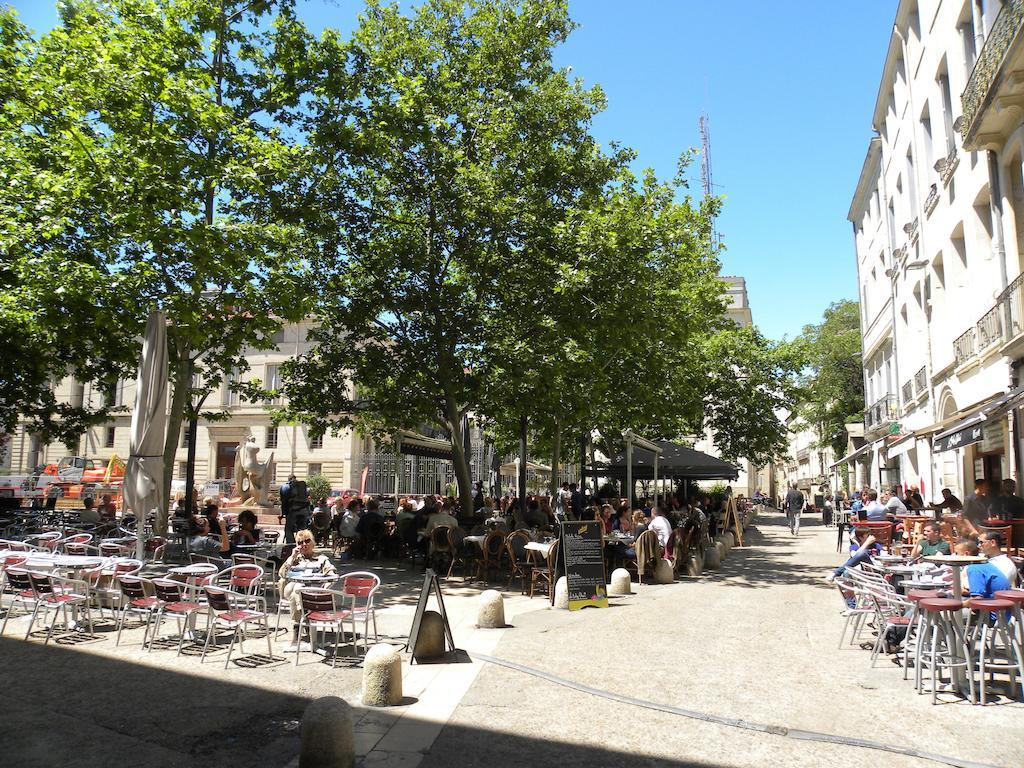 La Terrasse Du Marche Aux Fleurs Leilighet Montpellier Eksteriør bilde