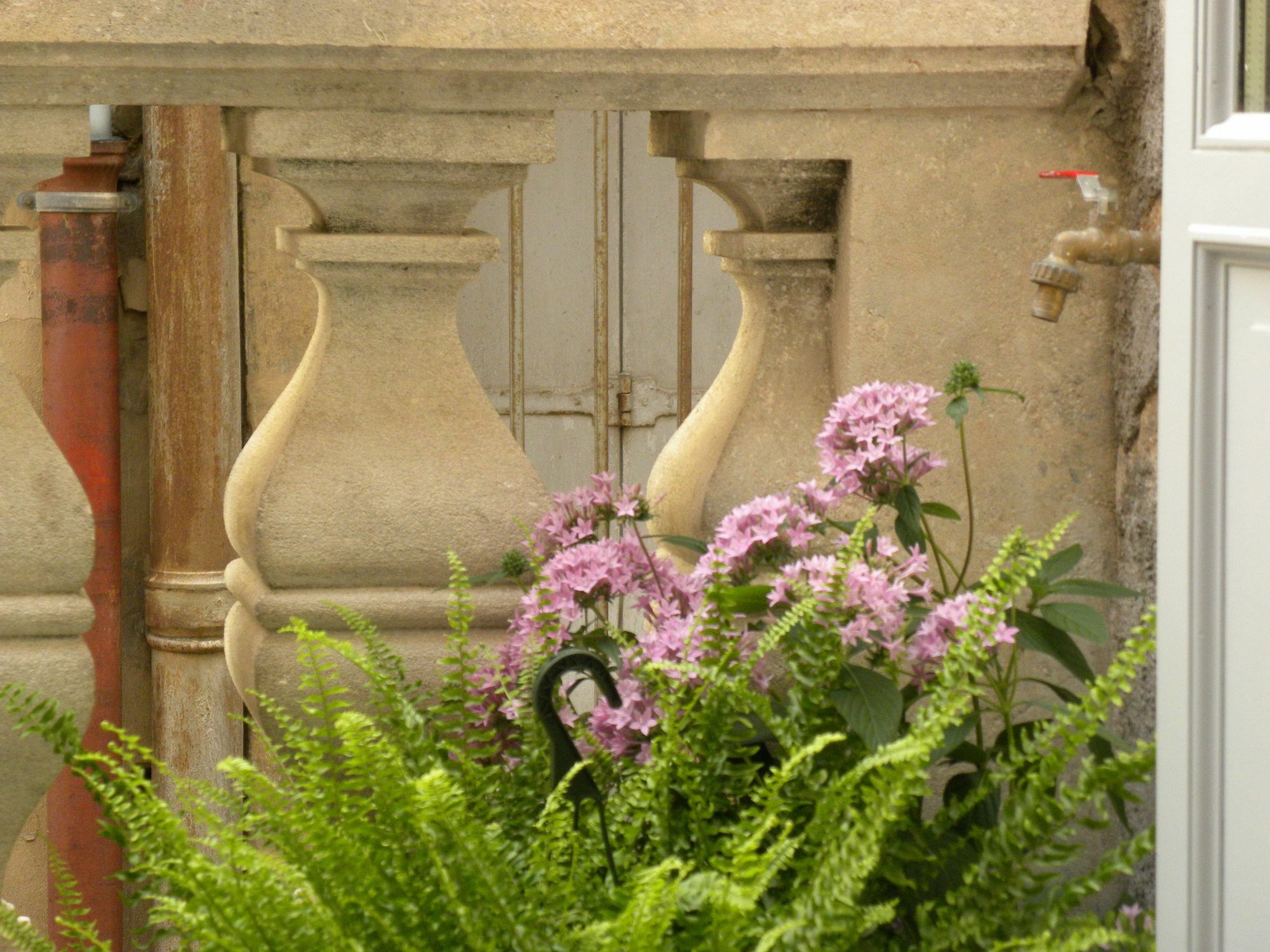 La Terrasse Du Marche Aux Fleurs Leilighet Montpellier Eksteriør bilde